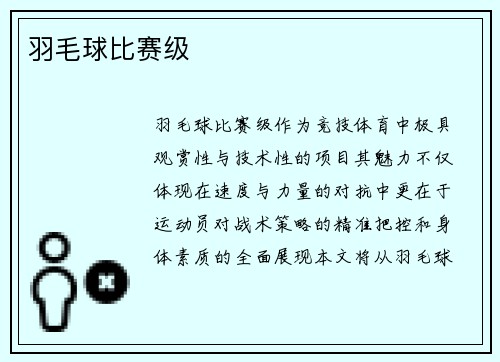 羽毛球比赛级