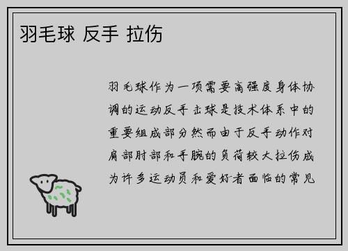 羽毛球 反手 拉伤