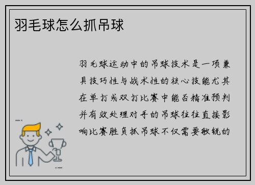 羽毛球怎么抓吊球